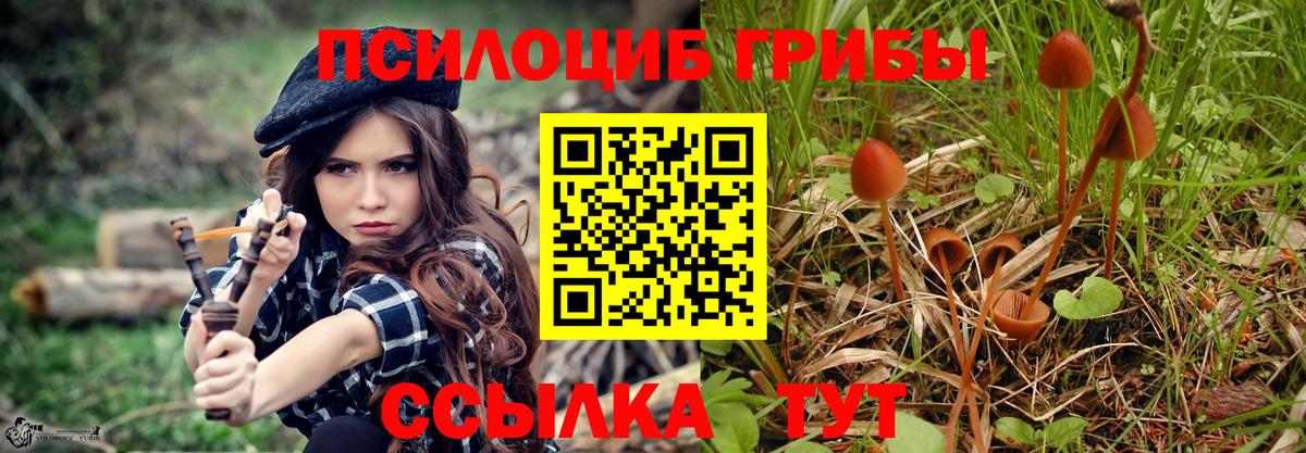 Камышлов  Галлюциногенные грибы ЛСД  Псилоцибиновые грибы GOLDEN TEACHER  Вход с VPN 