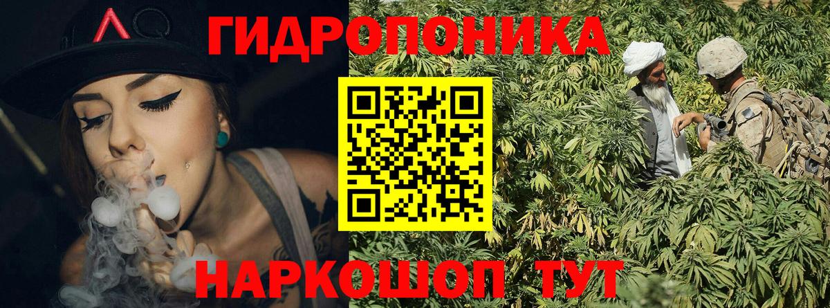 Камышлов  Кокаин  Вход с VPN  Гашиш  NBOMe  Каннабис  Мефедрон кристаллы  Лсд 25 